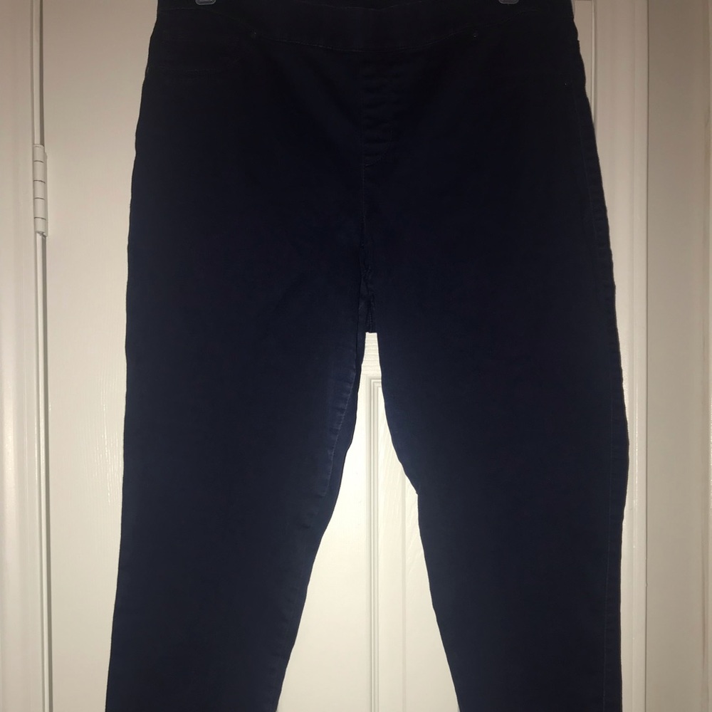 Faded Glory Dark Wash Skinny Jegging